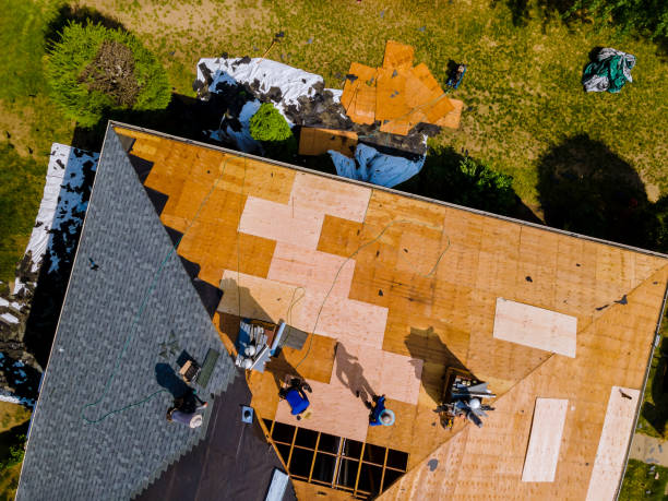 Best Roof Gutter Cleaning  in Taft Southwest, TX